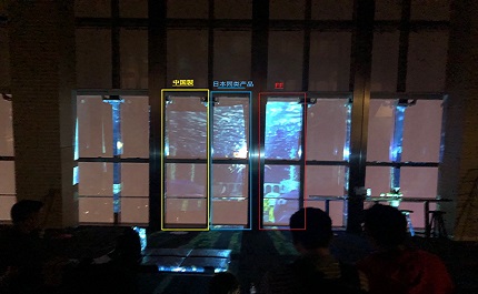 Transparent projection film